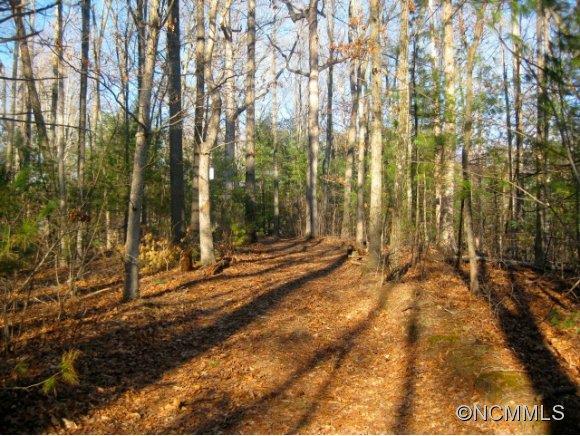 Lot 1 Dunkirk Road Asheville NC 28803