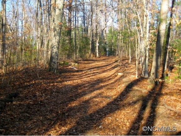 Lot 1 Dunkirk Road Asheville NC 28803