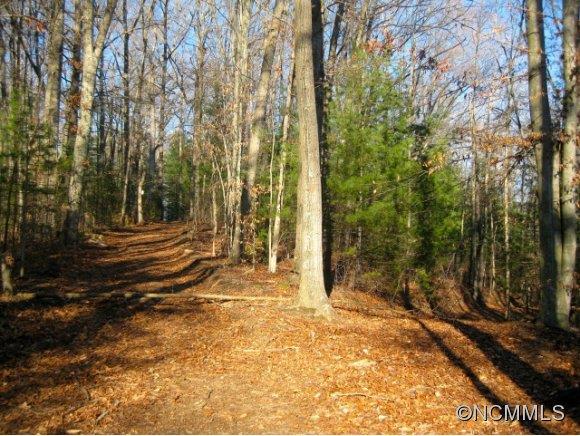 Lot 1 Dunkirk Road Asheville NC 28803