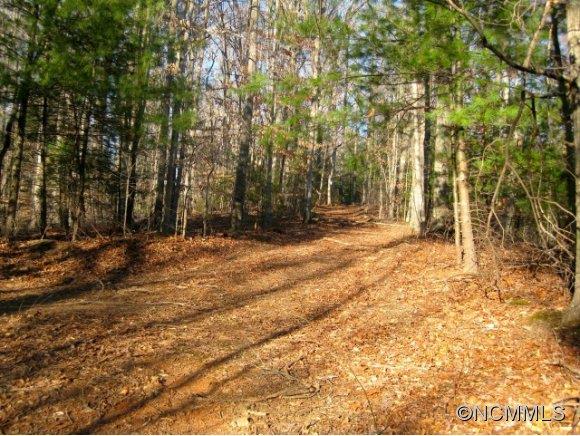 Lot 1 Dunkirk Road Asheville NC 28803
