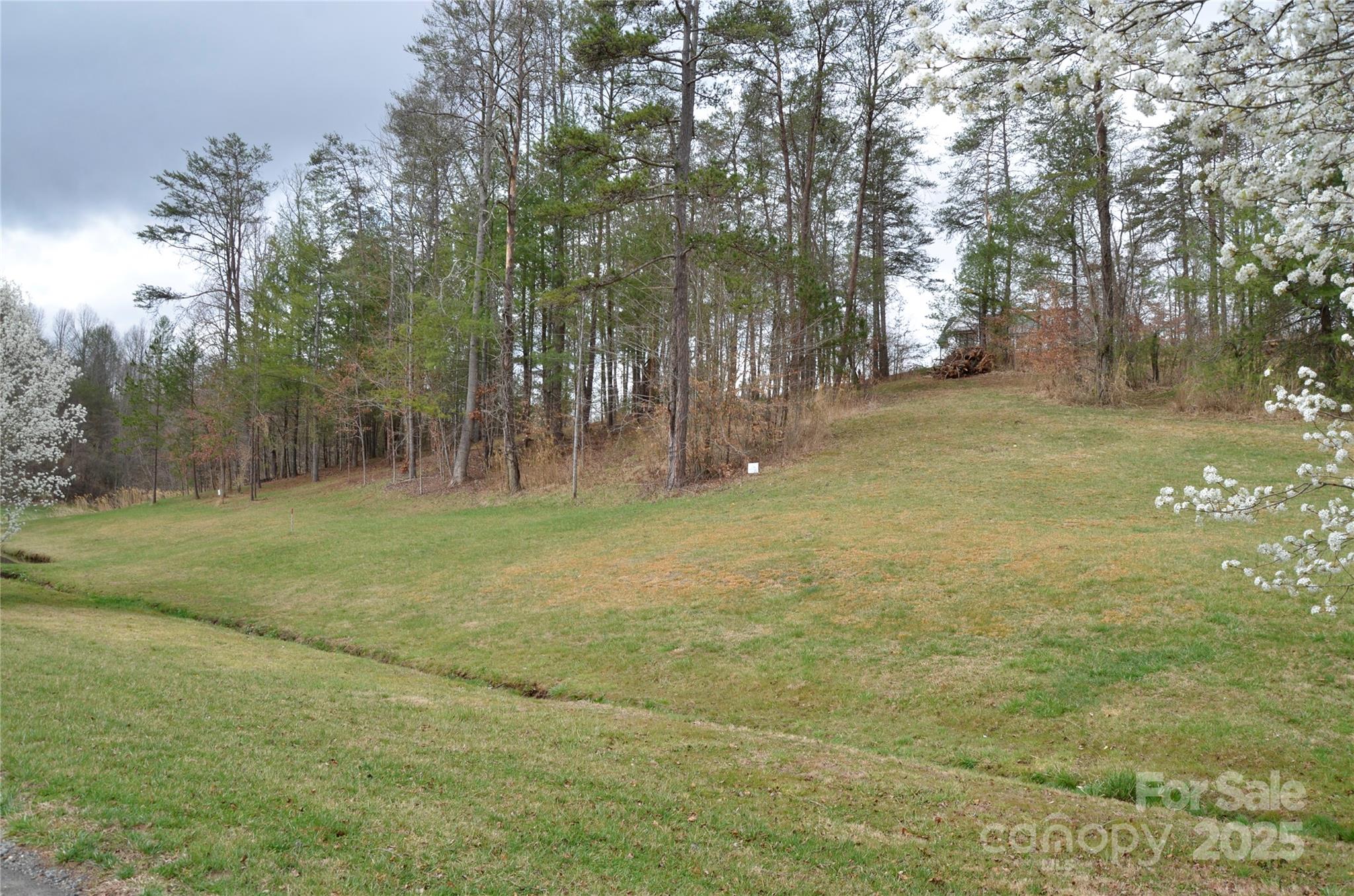 63 Ivy Meadows Drive Weaverville NC 28787