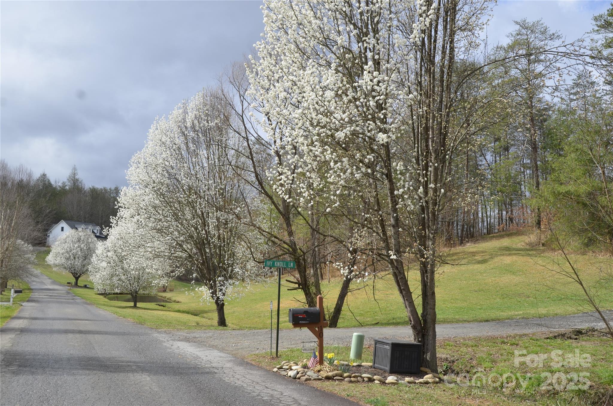 63 Ivy Meadows Drive Weaverville NC 28787