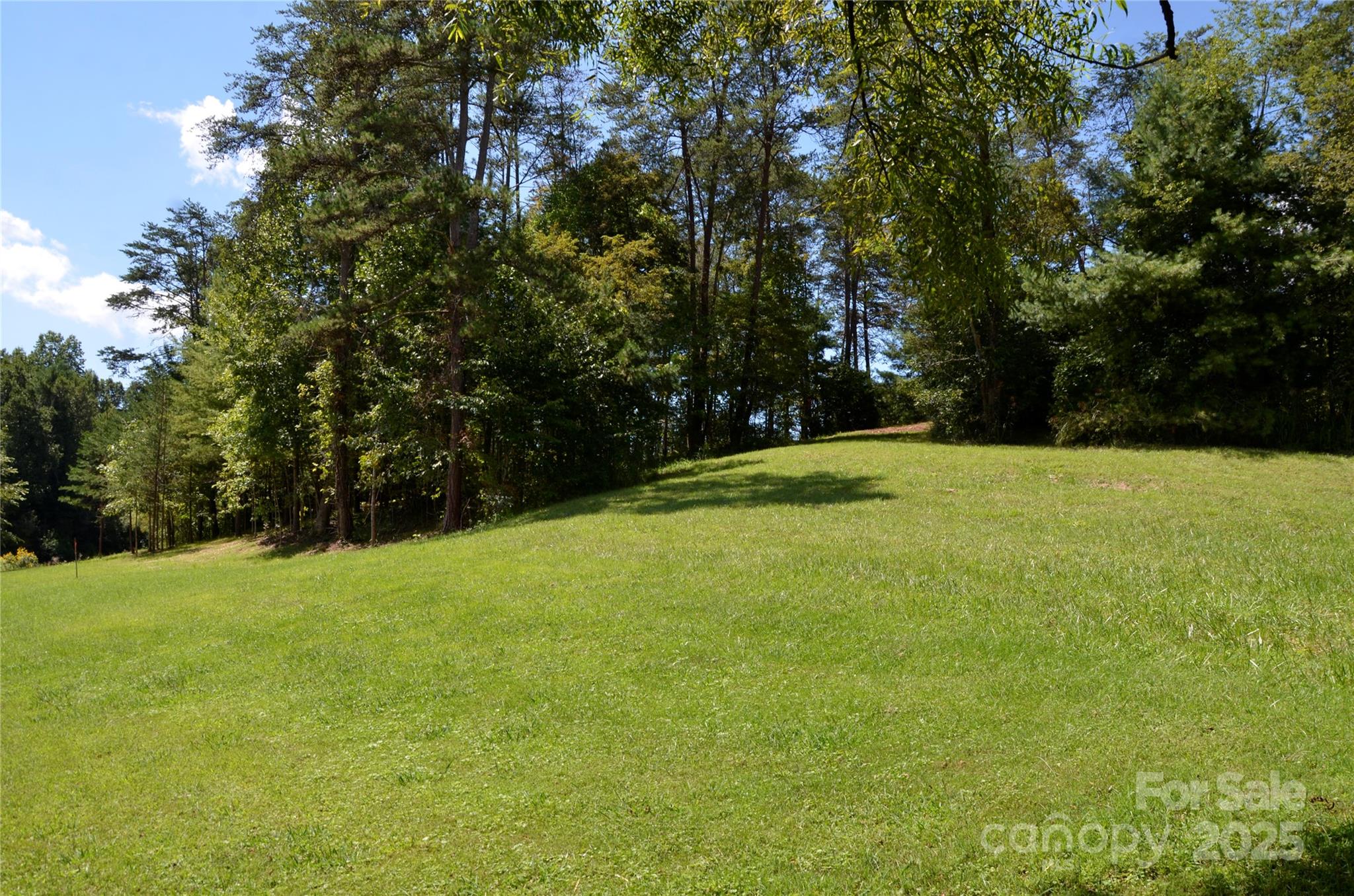 63 Ivy Meadows Drive Weaverville NC 28787