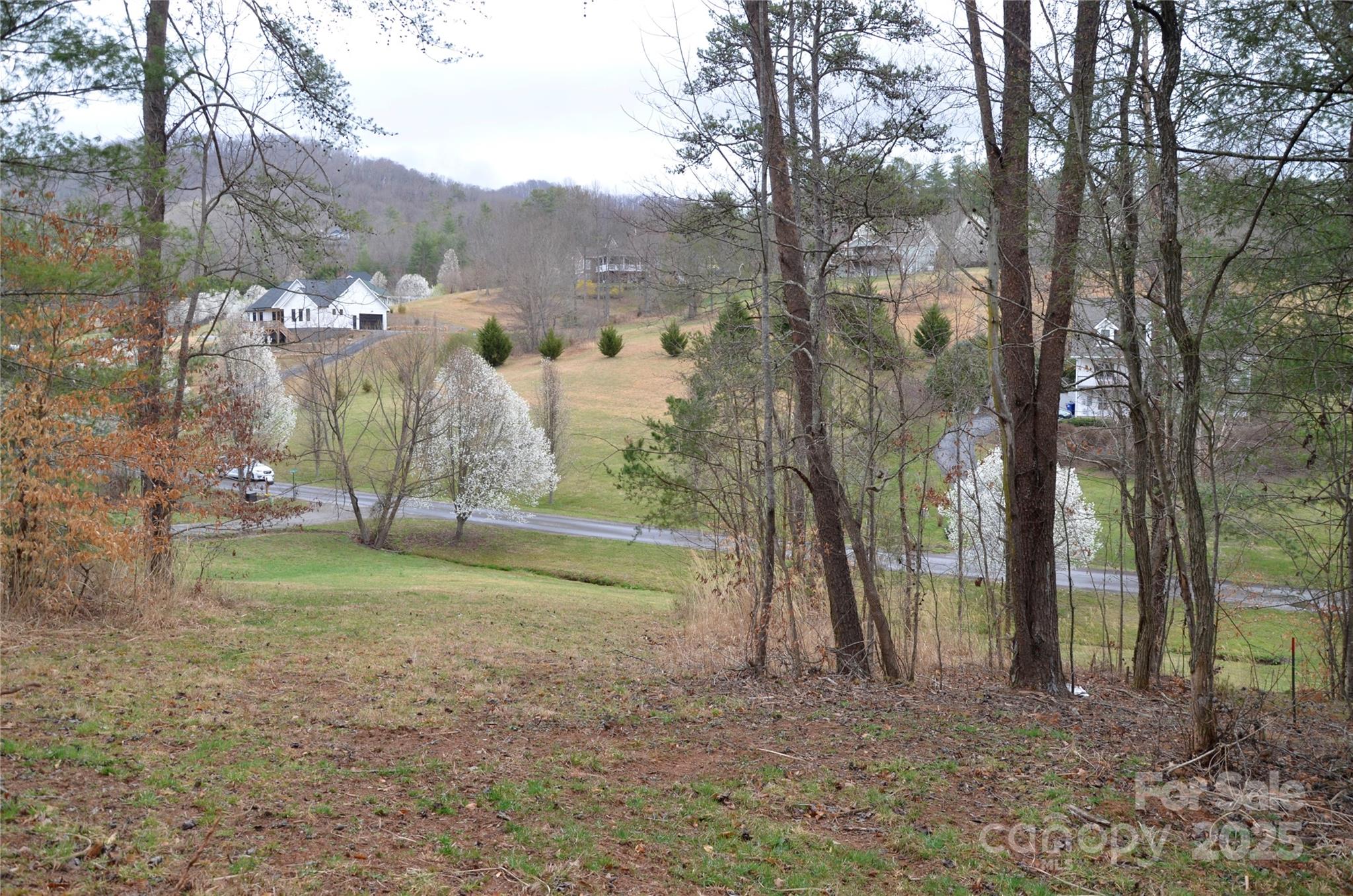 63 Ivy Meadows Drive Weaverville NC 28787
