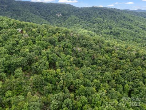 0 Peartree Drive Lake Lure NC 28746