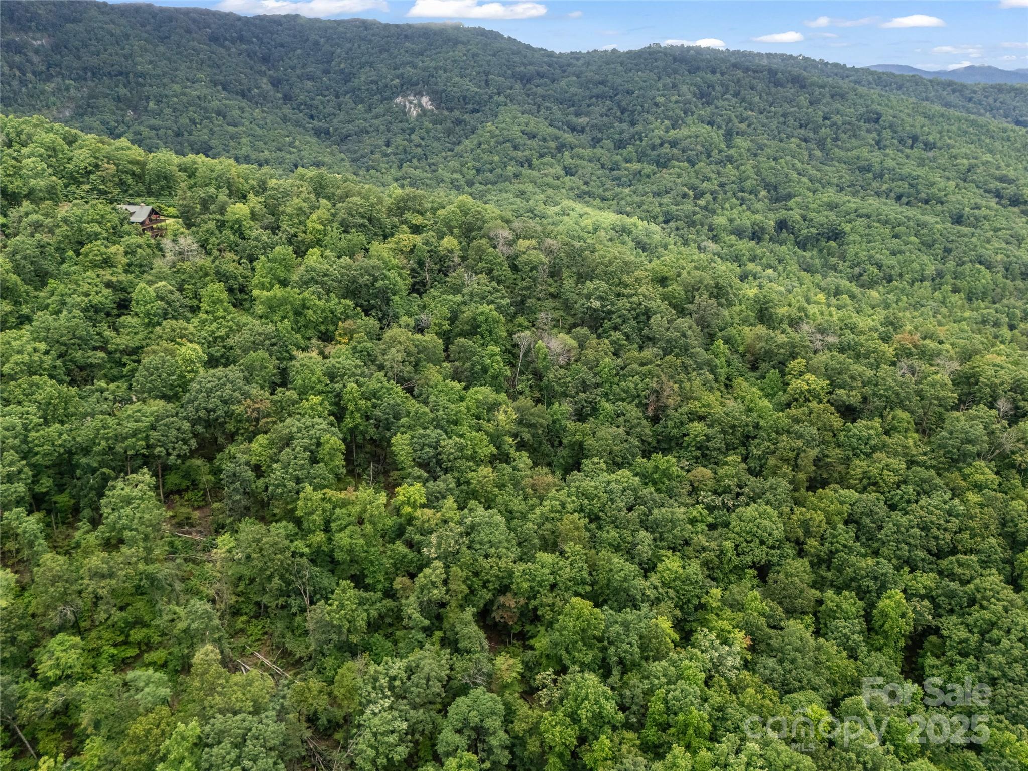 0 Peartree Drive Lake Lure NC 28746