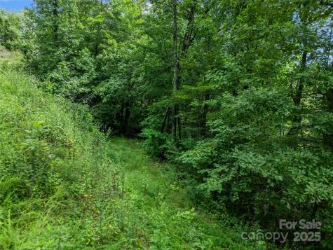 0 Peartree Drive Lake Lure NC 28746