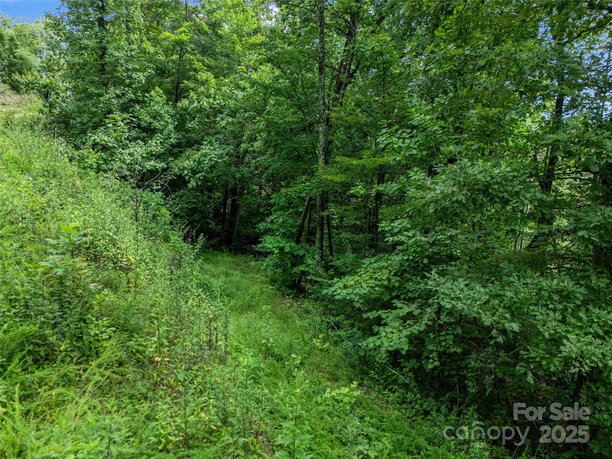 0 Peartree Drive Lake Lure NC 28746