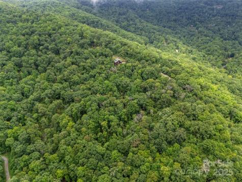 0 Peartree Drive Lake Lure NC 28746
