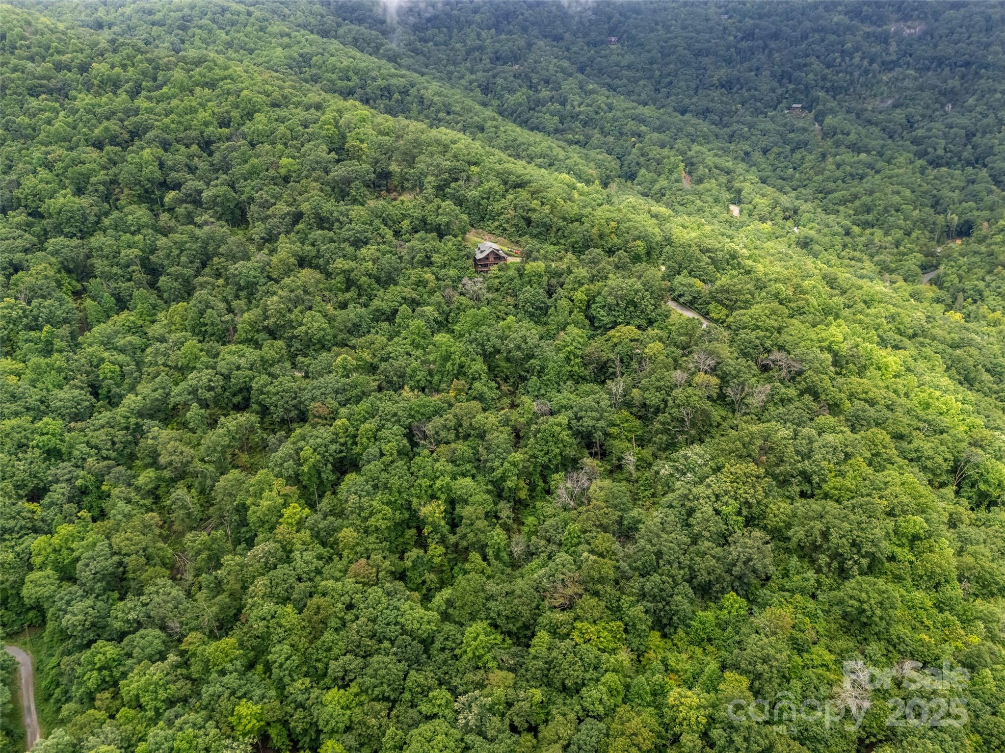 0 Peartree Drive Lake Lure NC 28746