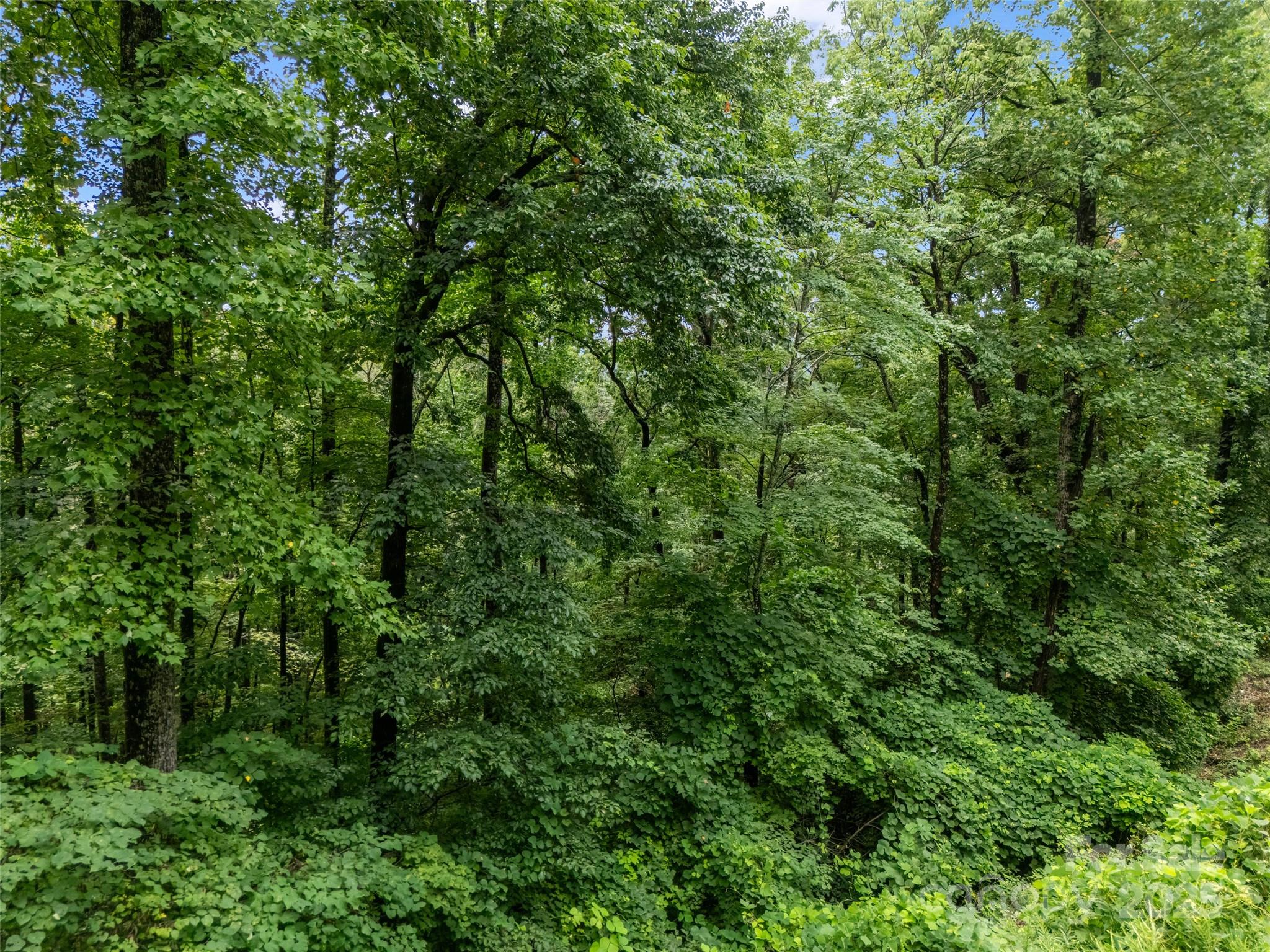 0 Peartree Drive Lake Lure NC 28746