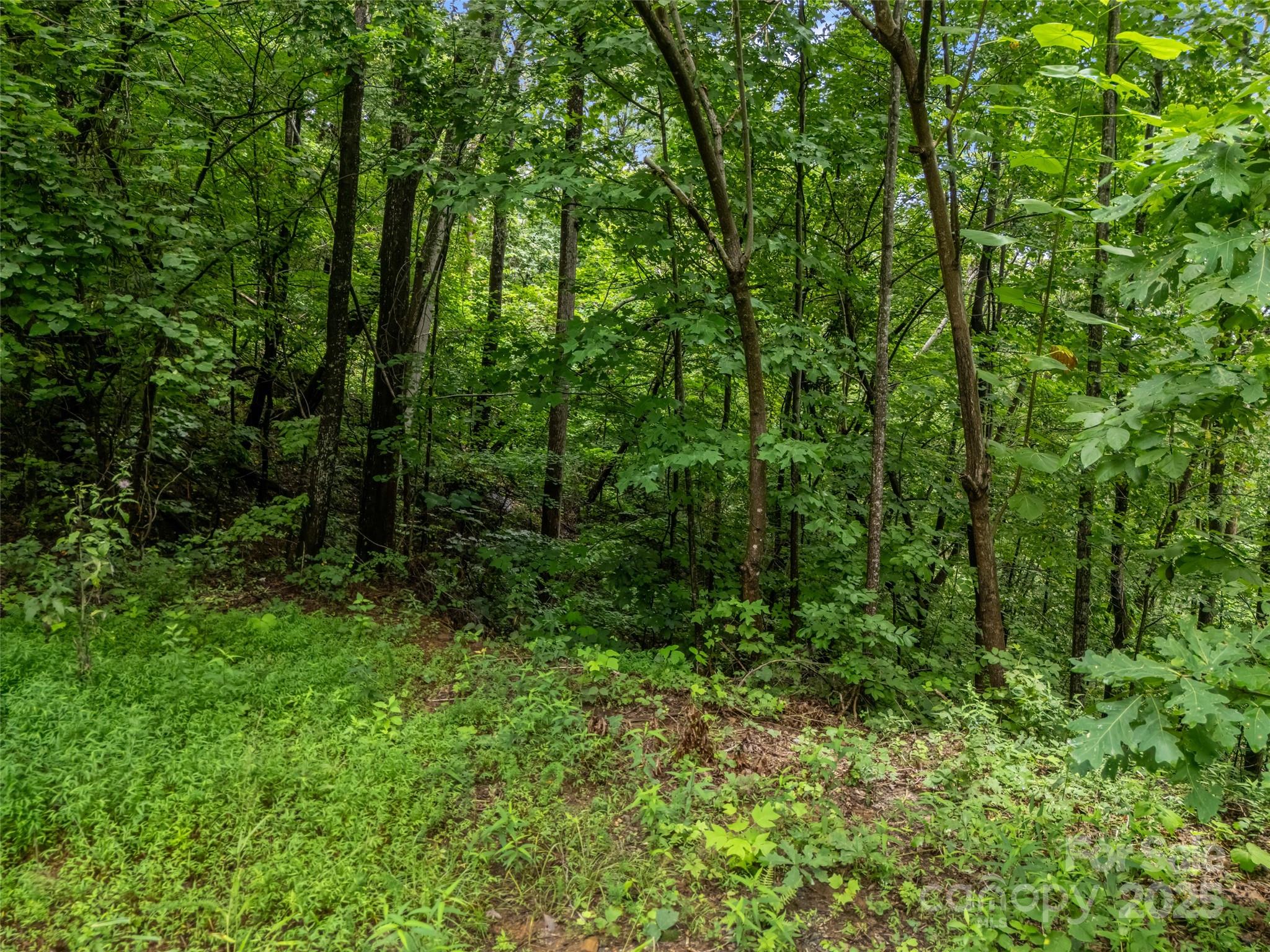0 Peartree Drive Lake Lure NC 28746