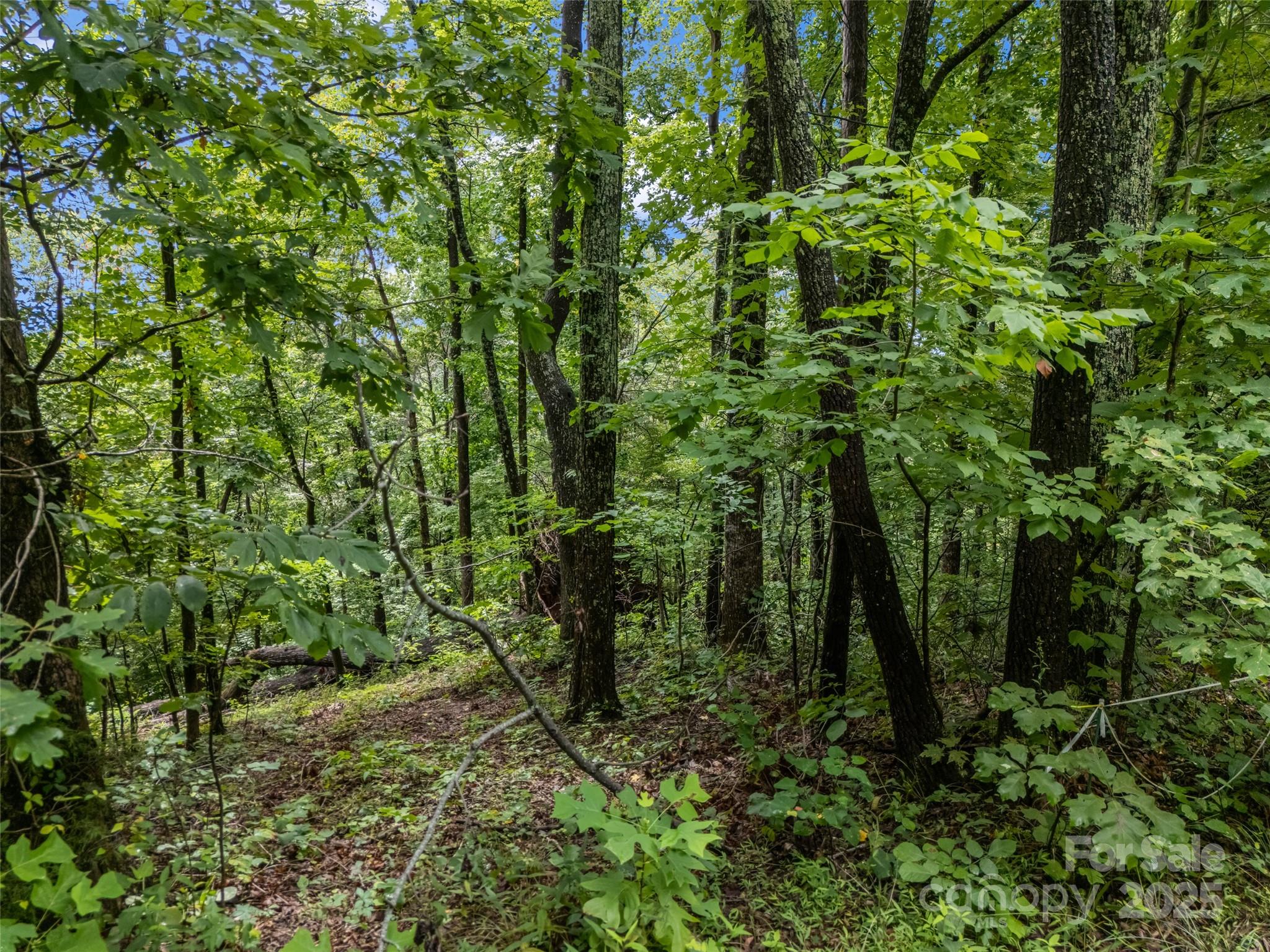 0 Peartree Drive Lake Lure NC 28746