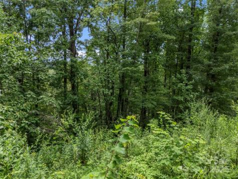 0 Peartree Drive Lake Lure NC 28746
