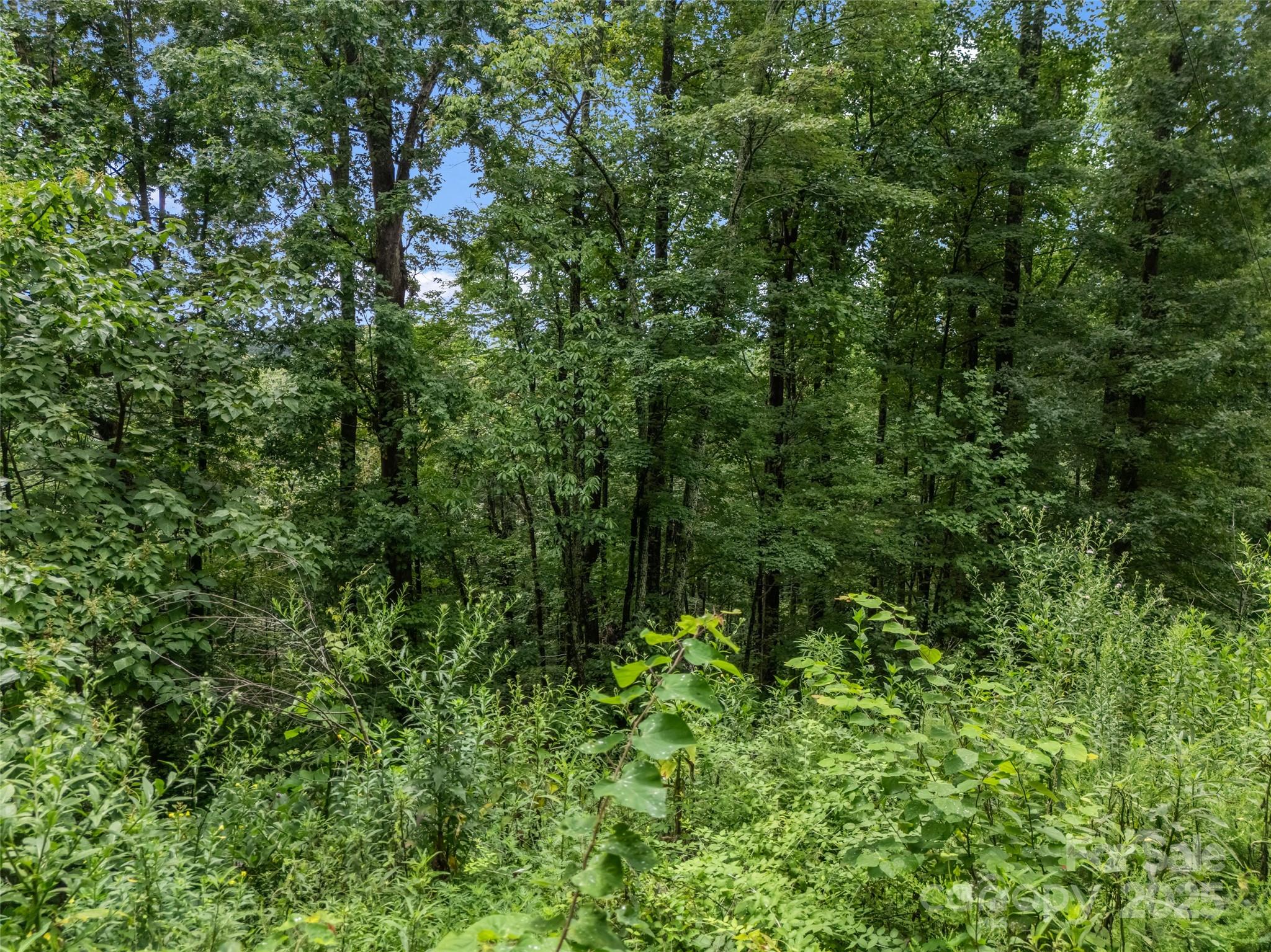 0 Peartree Drive Lake Lure NC 28746