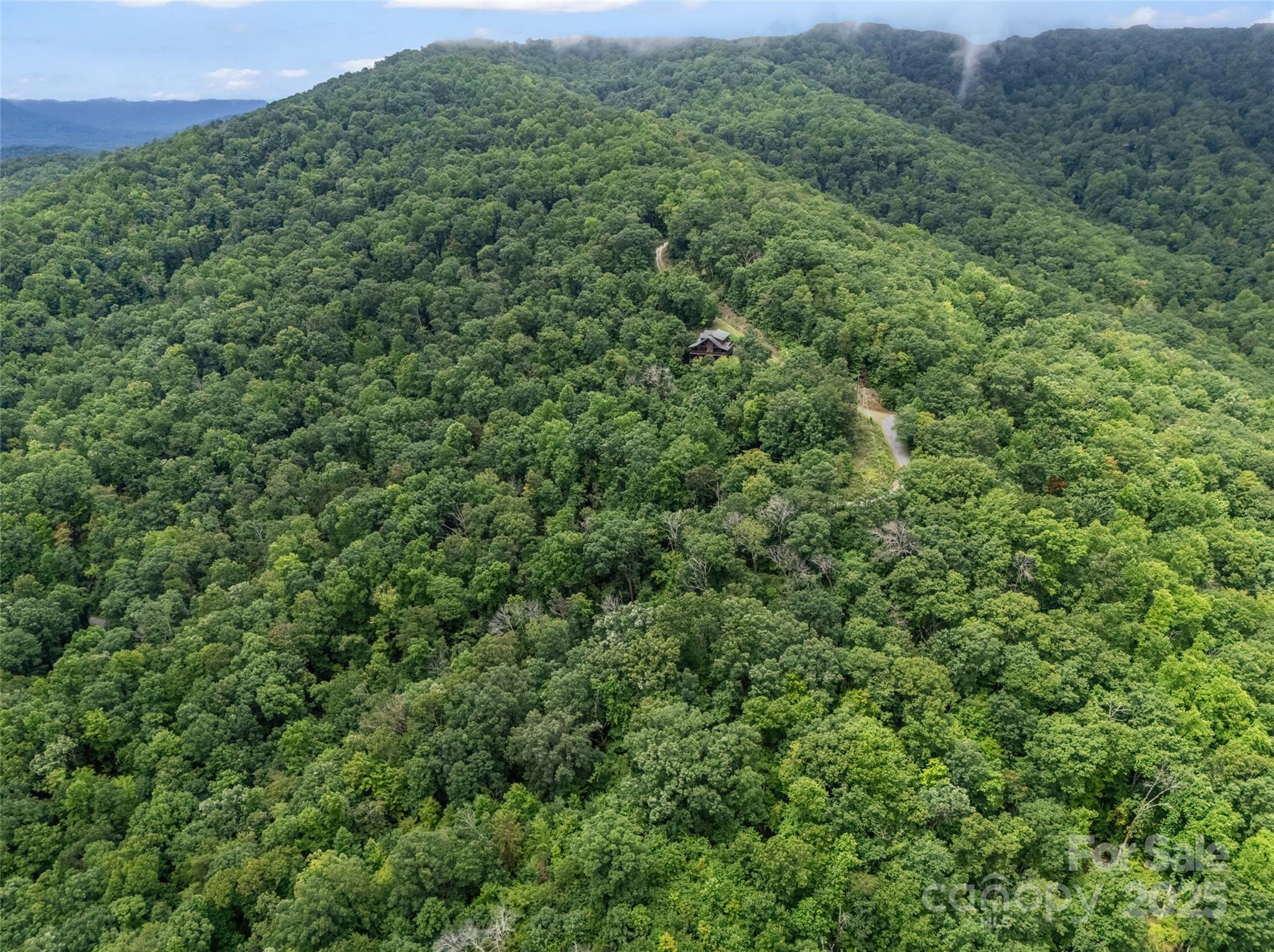 0 Peartree Drive Lake Lure NC 28746