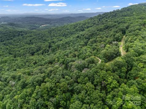0 Peartree Drive Lake Lure NC 28746