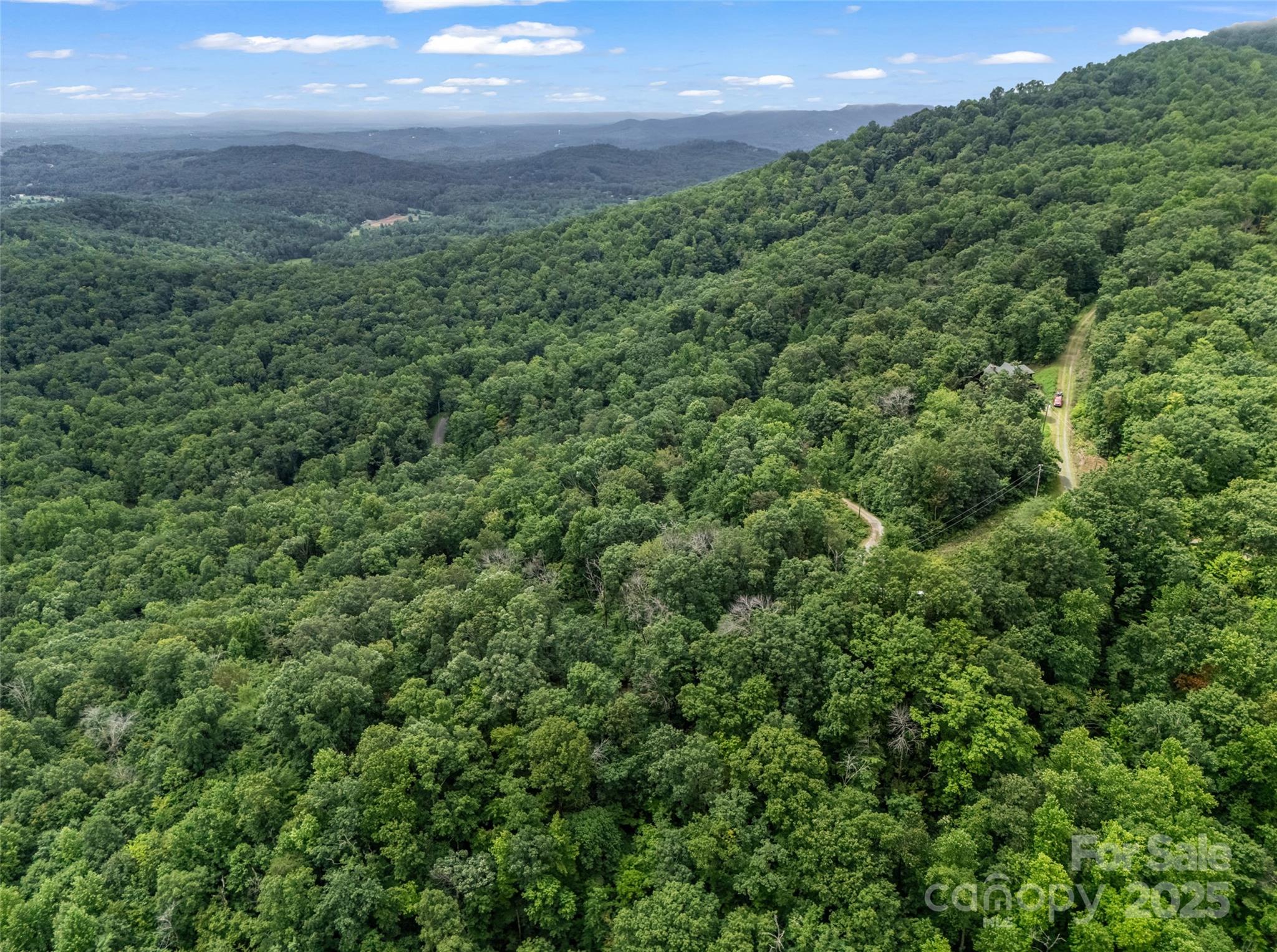 0 Peartree Drive Lake Lure NC 28746