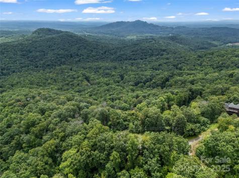 0 Peartree Drive Lake Lure NC 28746