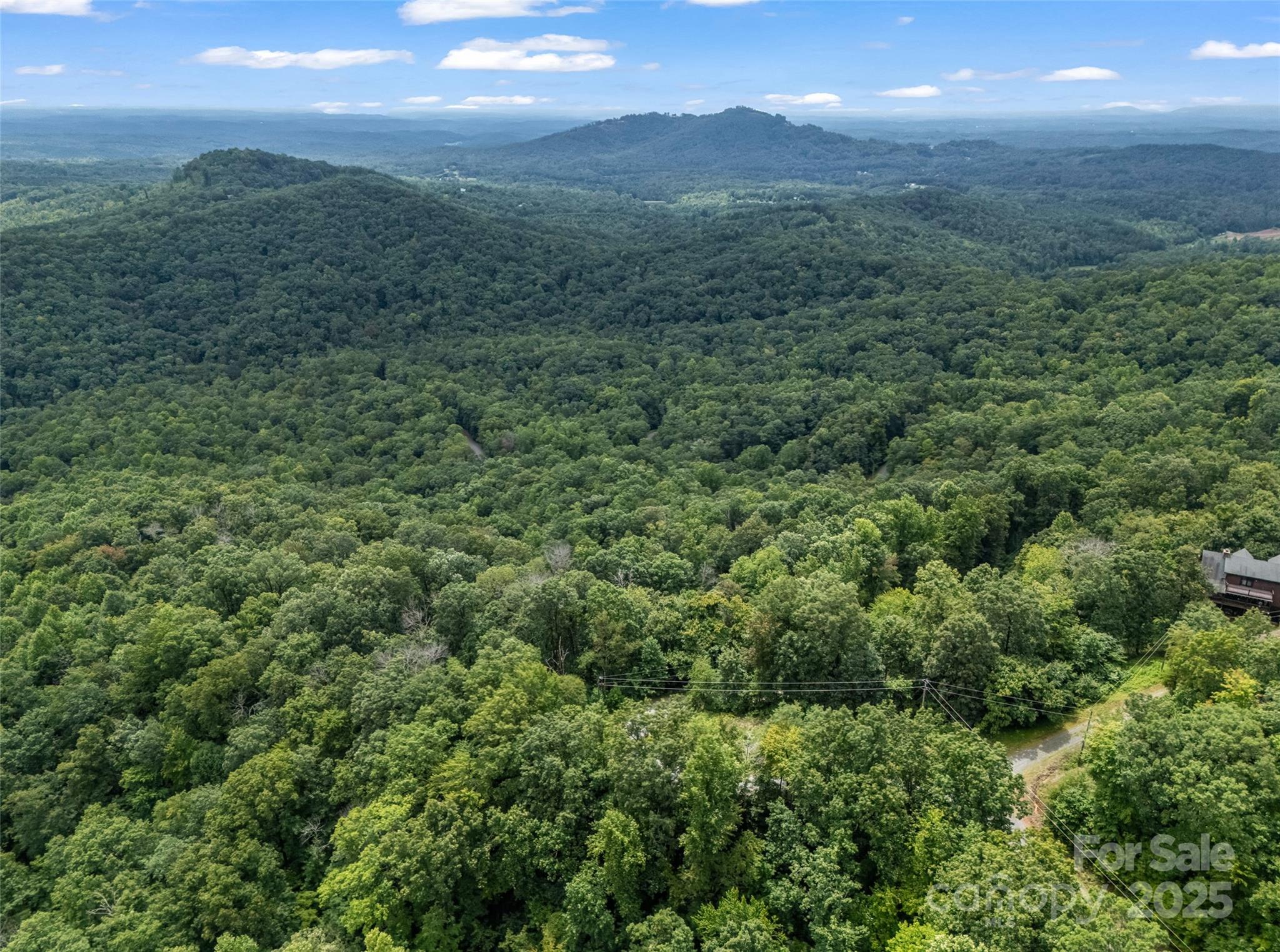 0 Peartree Drive Lake Lure NC 28746