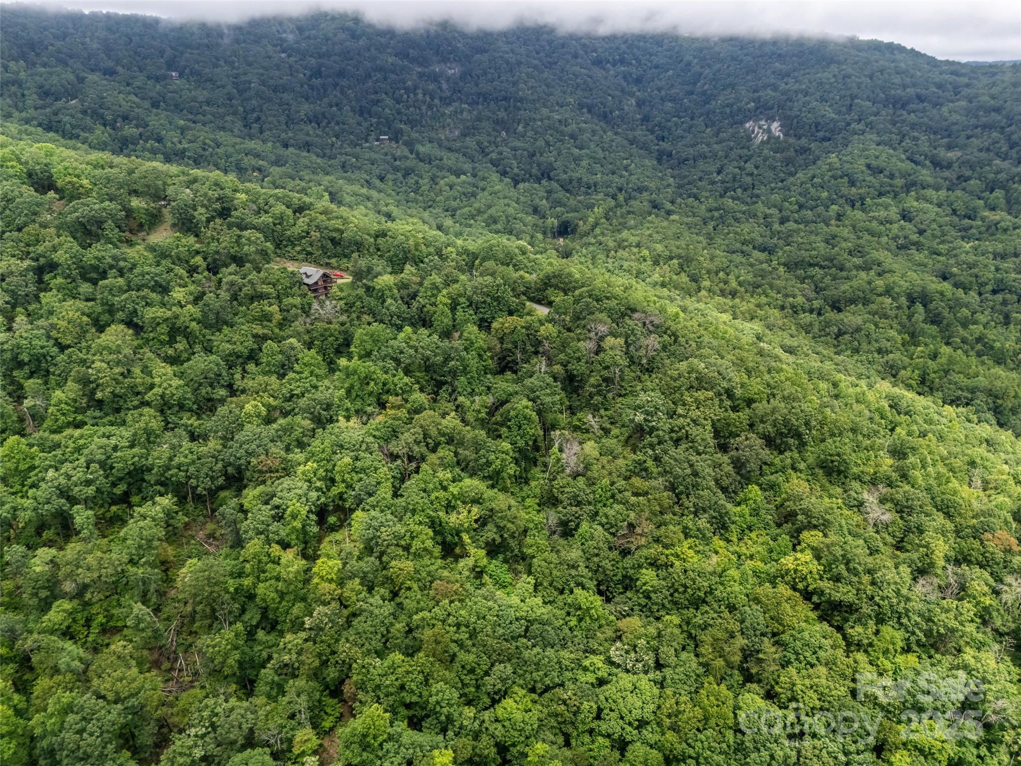 0 Peartree Drive Lake Lure NC 28746
