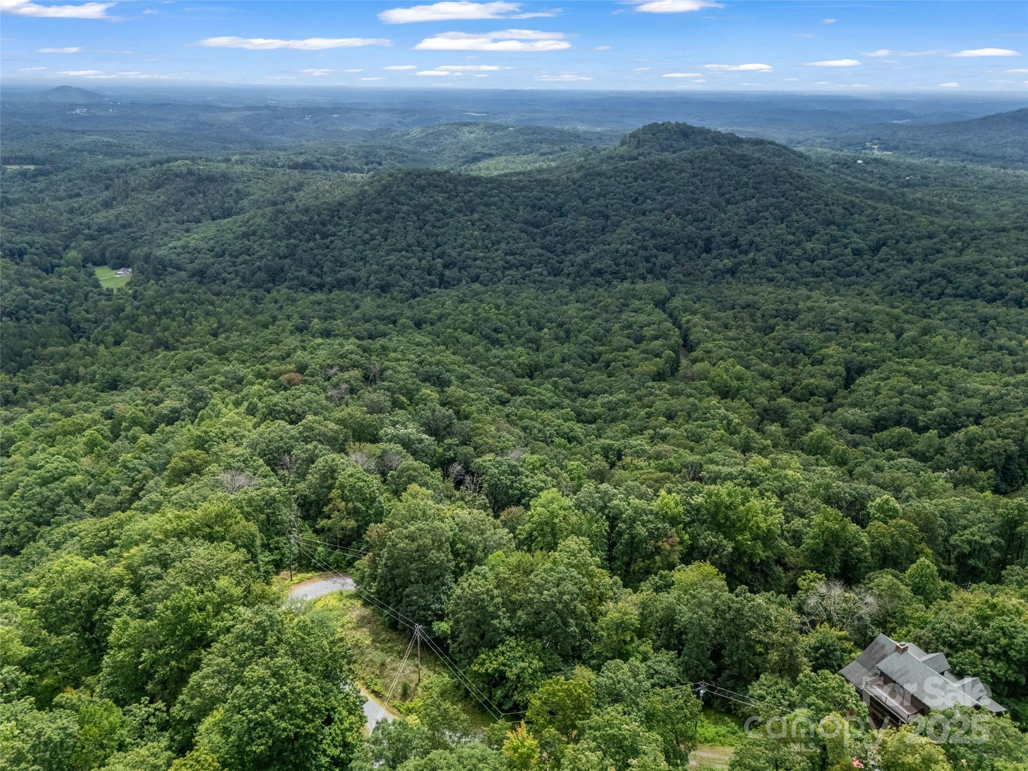 0 Peartree Drive Lake Lure NC 28746