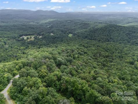 0 Peartree Drive Lake Lure NC 28746
