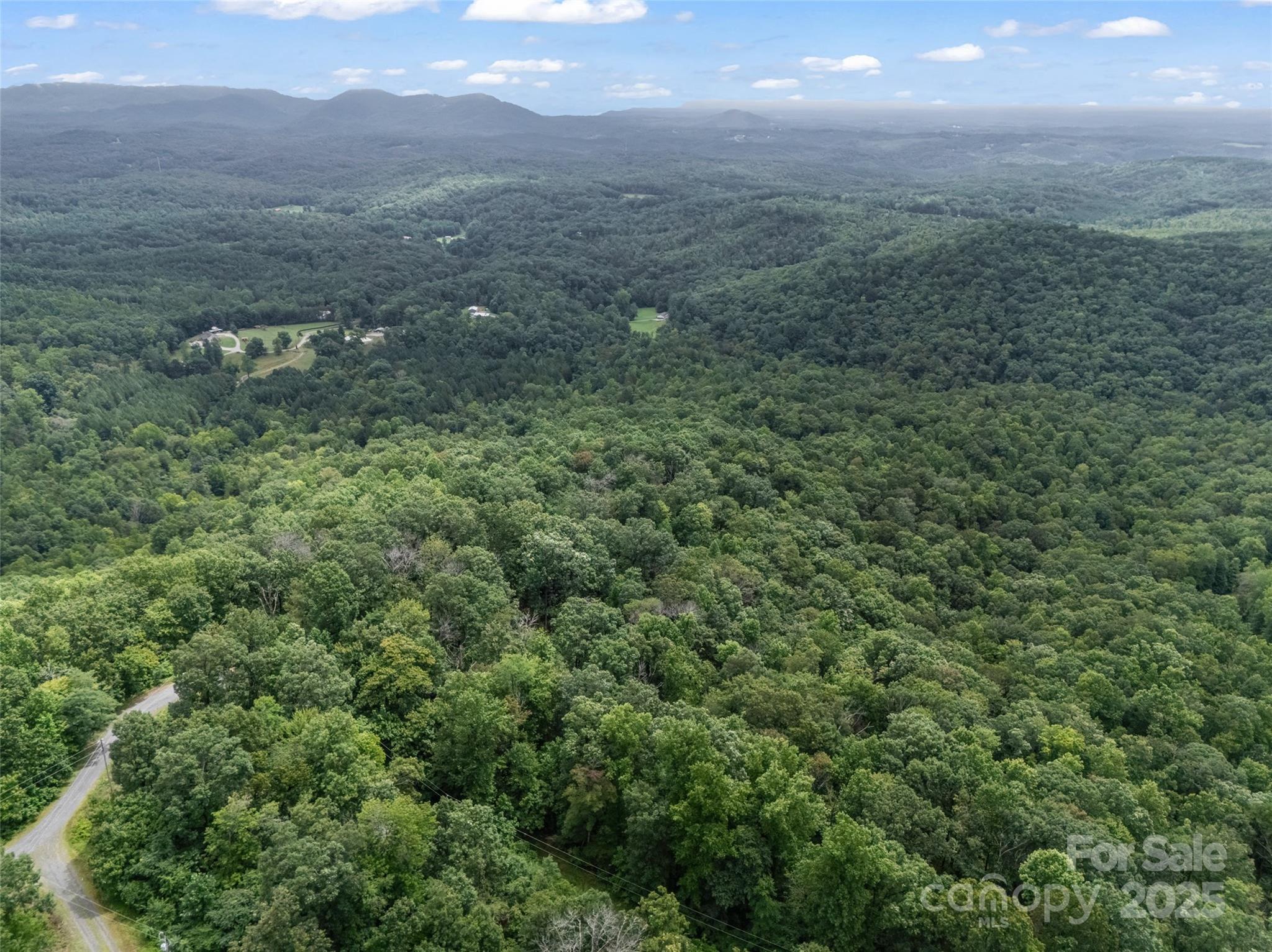 0 Peartree Drive Lake Lure NC 28746