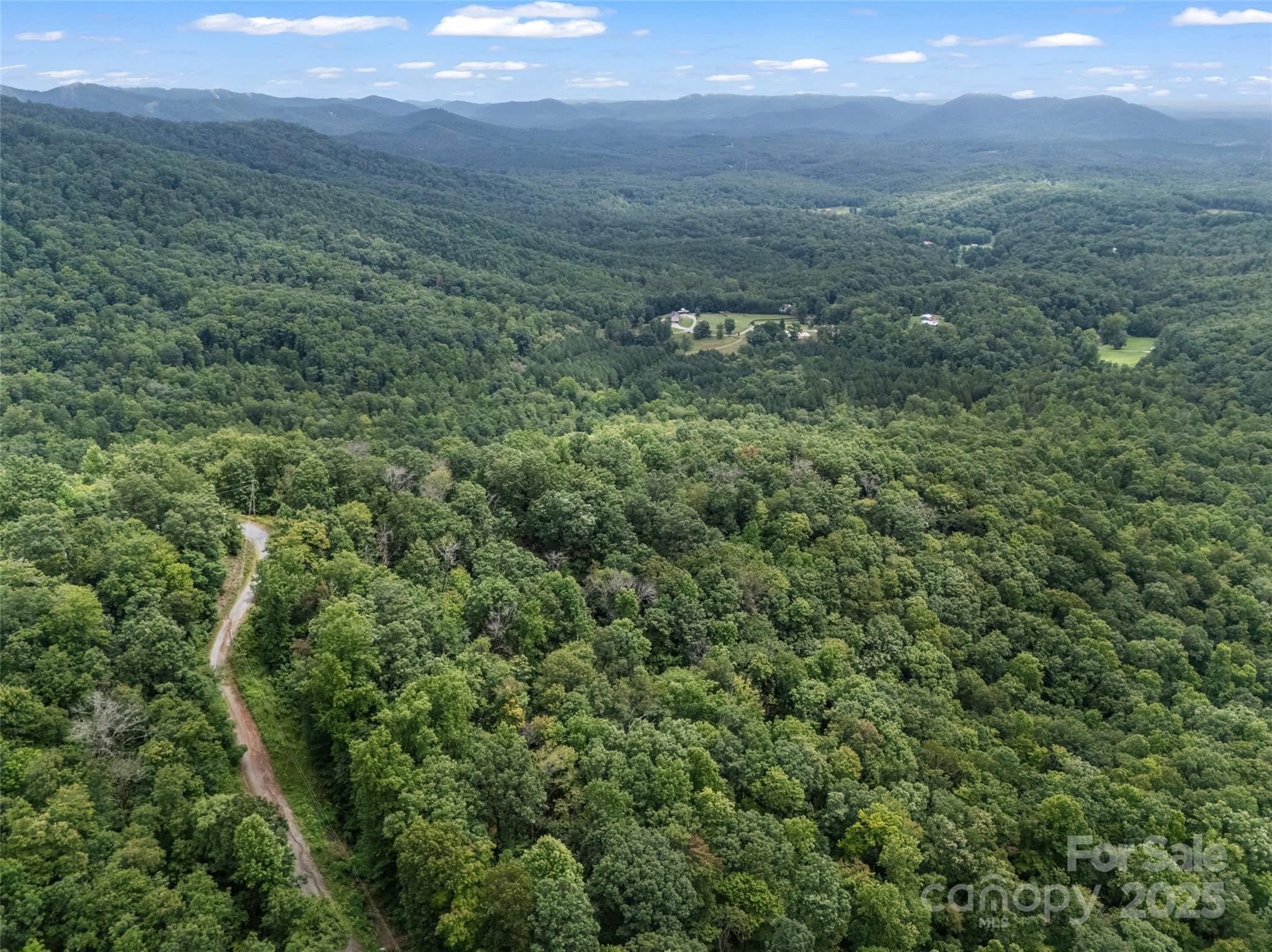 0 Peartree Drive Lake Lure NC 28746