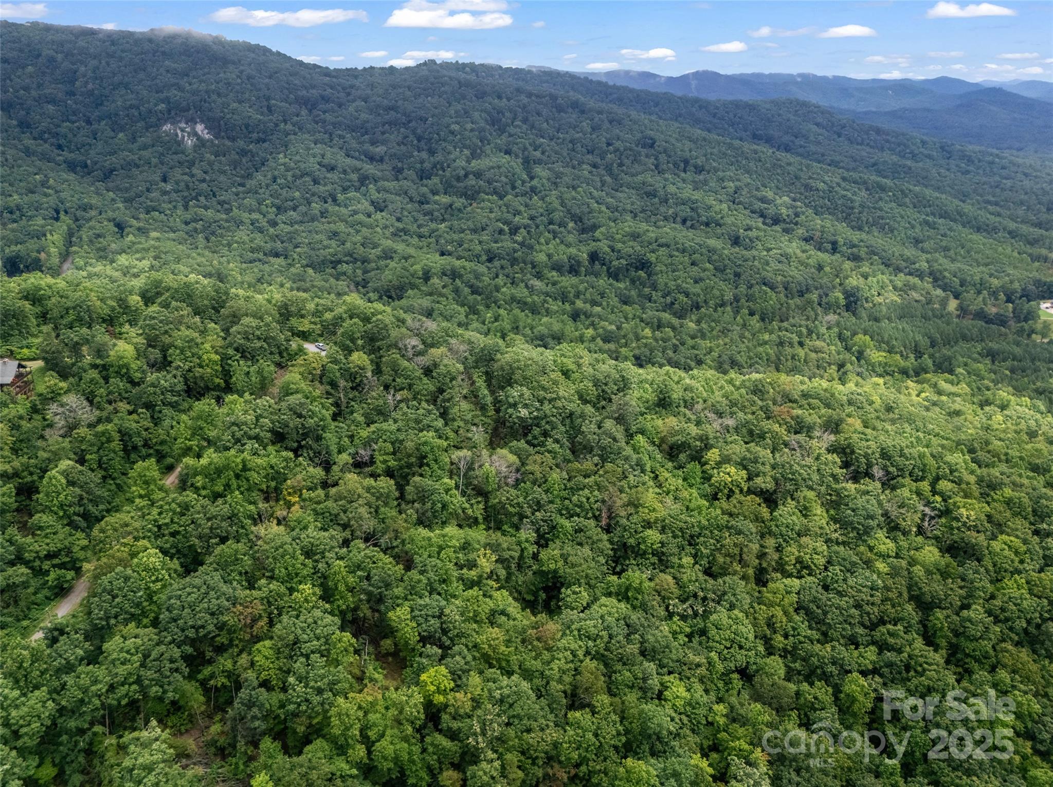0 Peartree Drive Lake Lure NC 28746