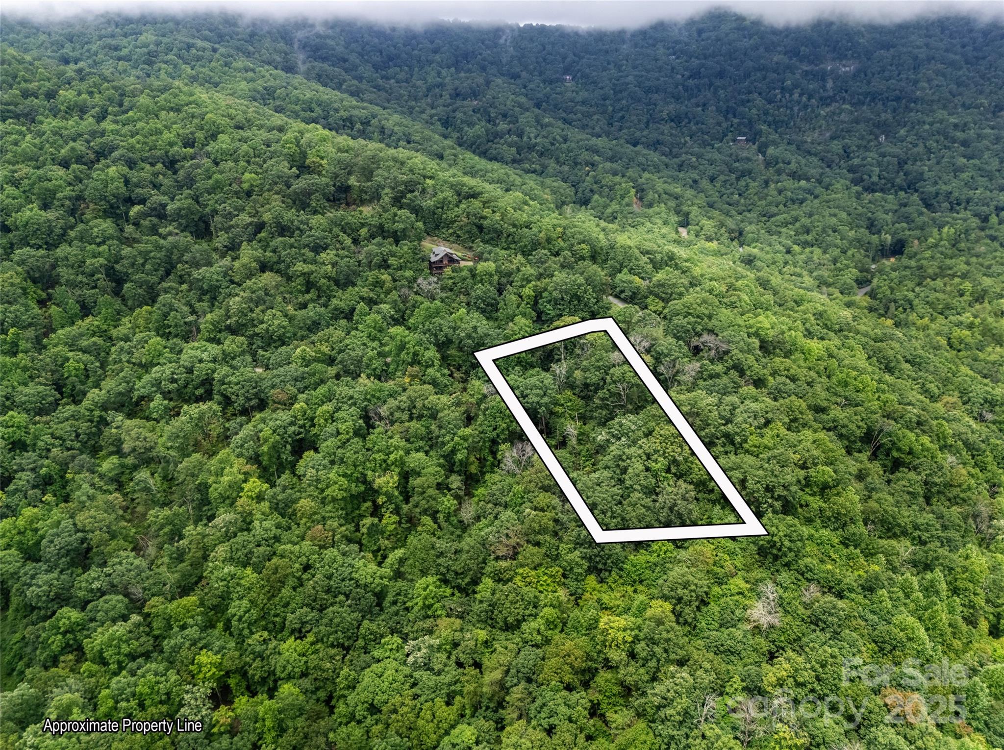 0 Peartree Drive Lake Lure NC 28746