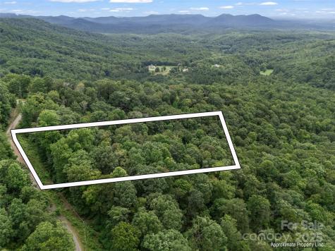 0 Peartree Drive Lake Lure NC 28746