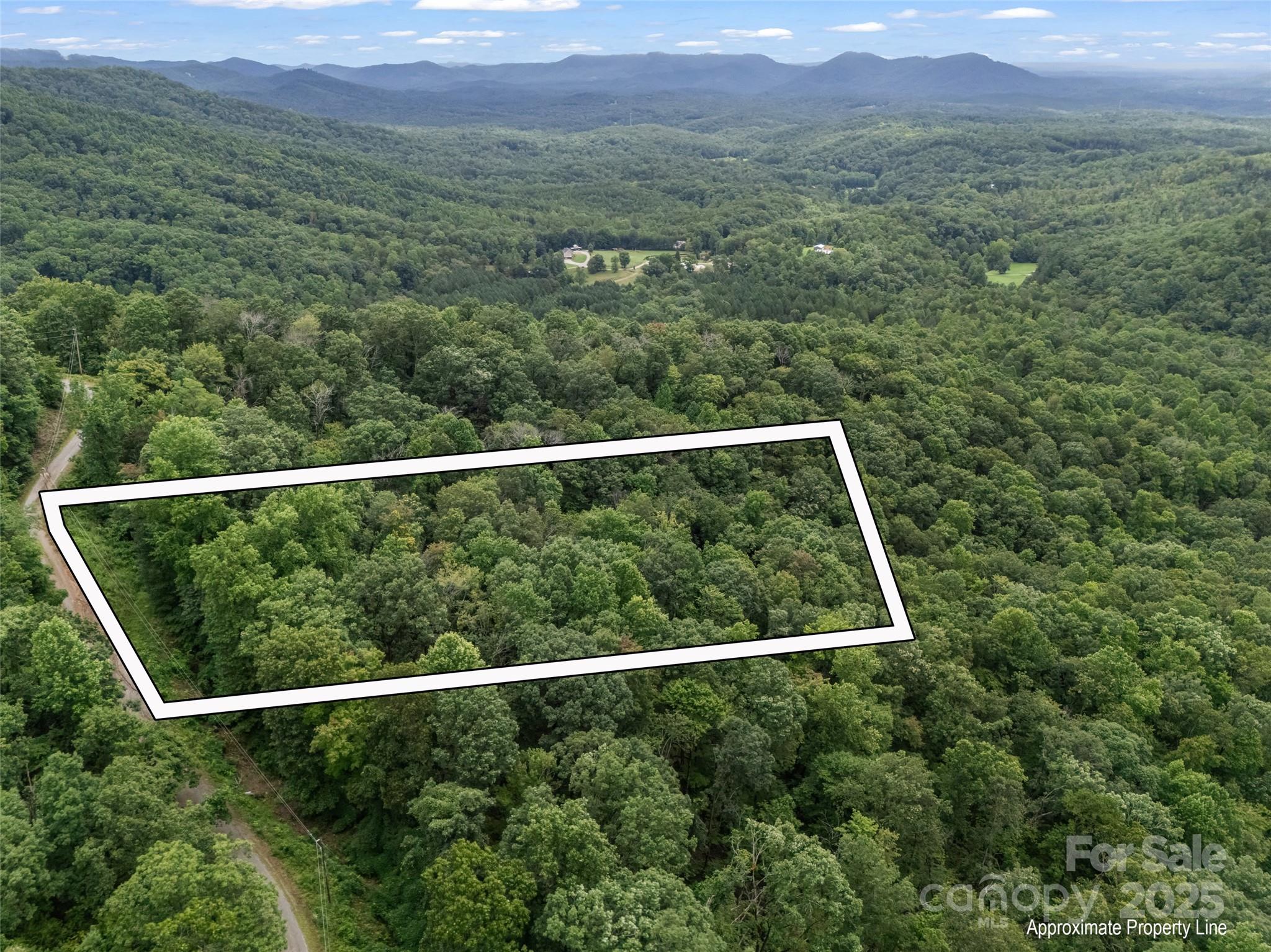 0 Peartree Drive Lake Lure NC 28746