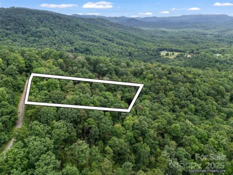 0 Peartree Drive Lake Lure NC 28746