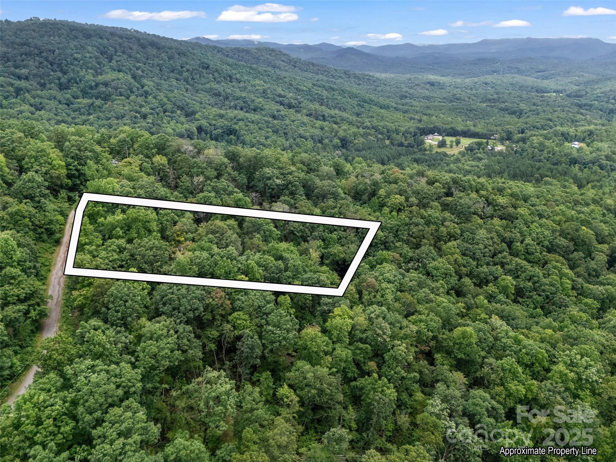 0 Peartree Drive Lake Lure NC 28746