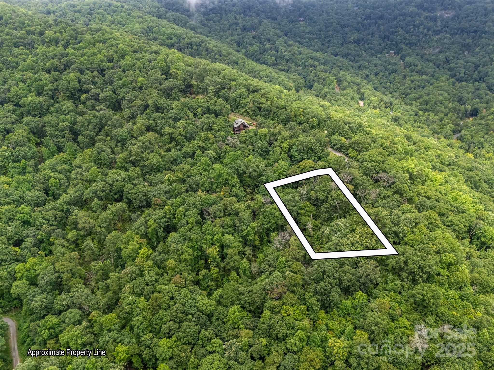 0 Peartree Drive Lake Lure NC 28746