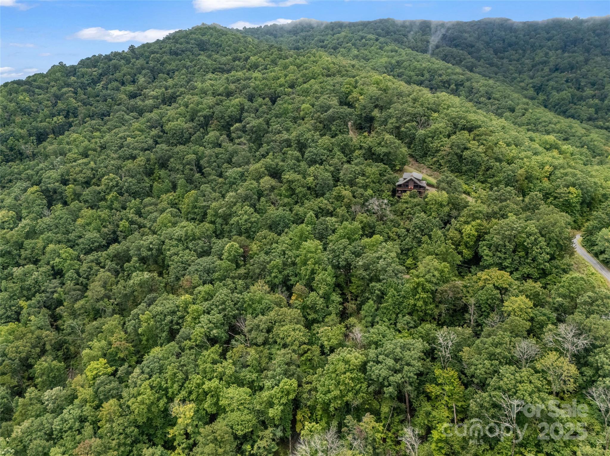 0 Peartree Drive Lake Lure NC 28746