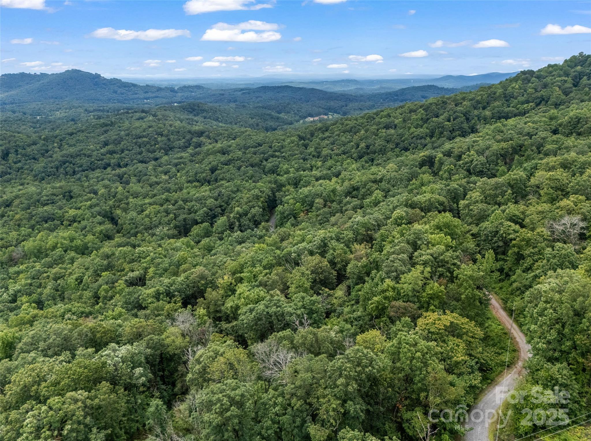 0 Peartree Drive Lake Lure NC 28746