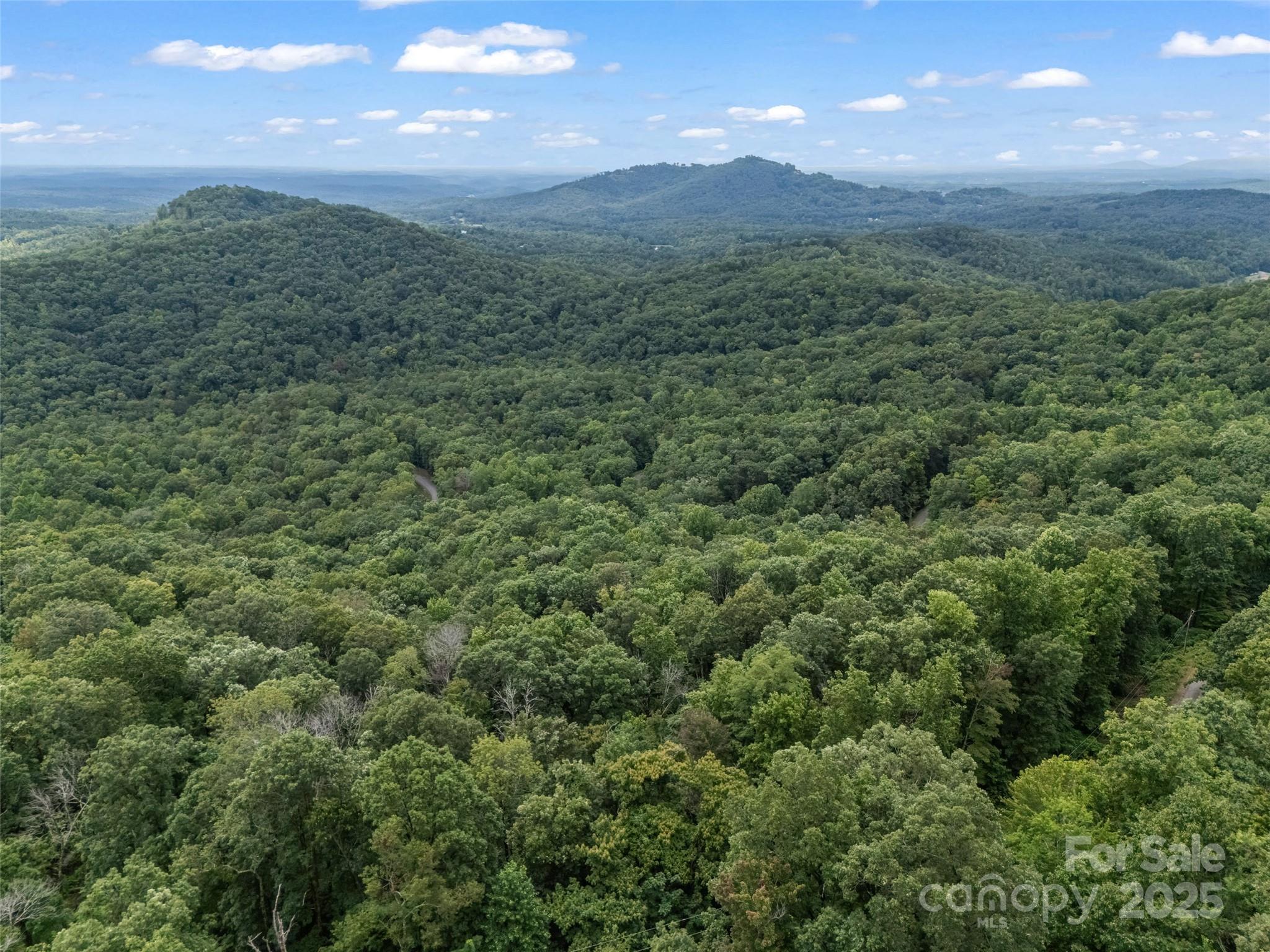 0 Peartree Drive Lake Lure NC 28746