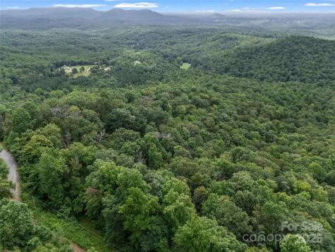 0 Peartree Drive Lake Lure NC 28746