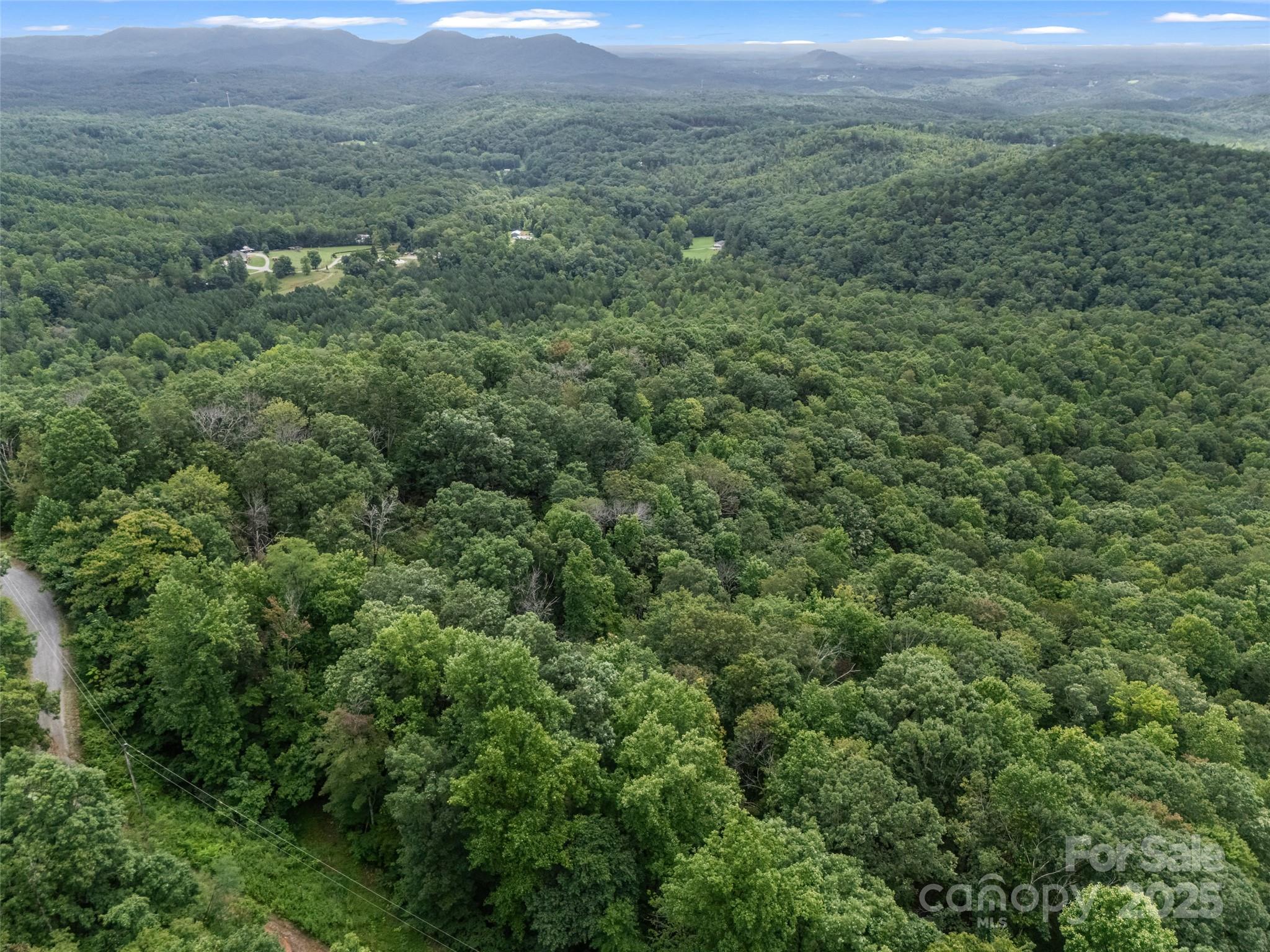 0 Peartree Drive Lake Lure NC 28746