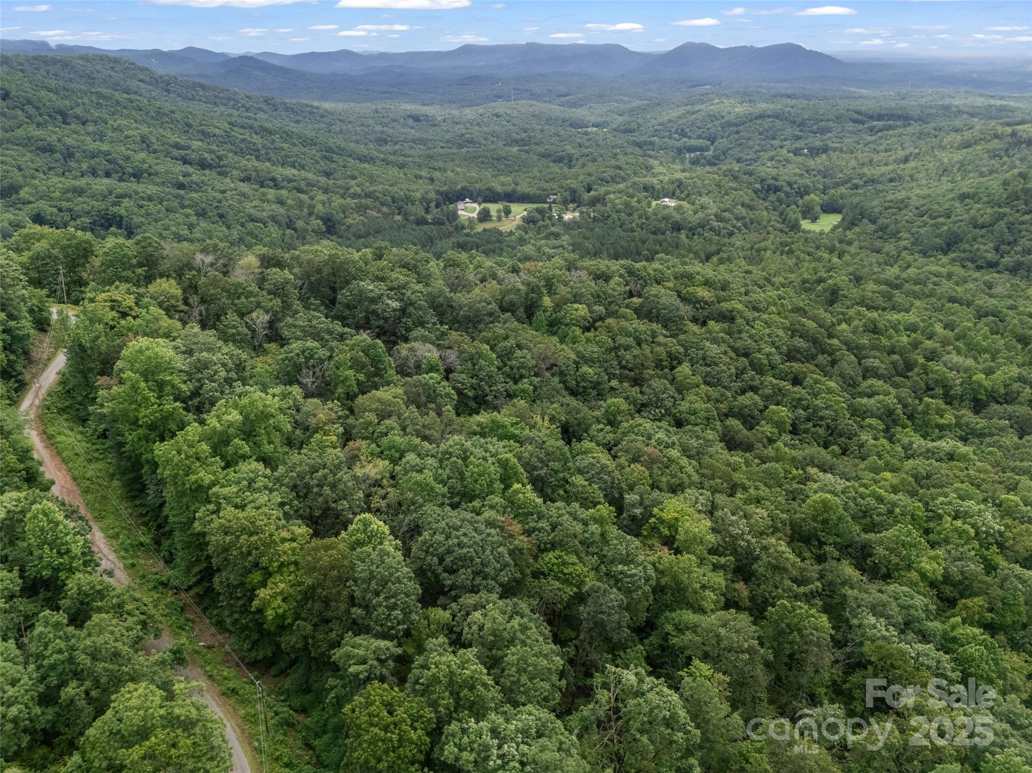 0 Peartree Drive Lake Lure NC 28746