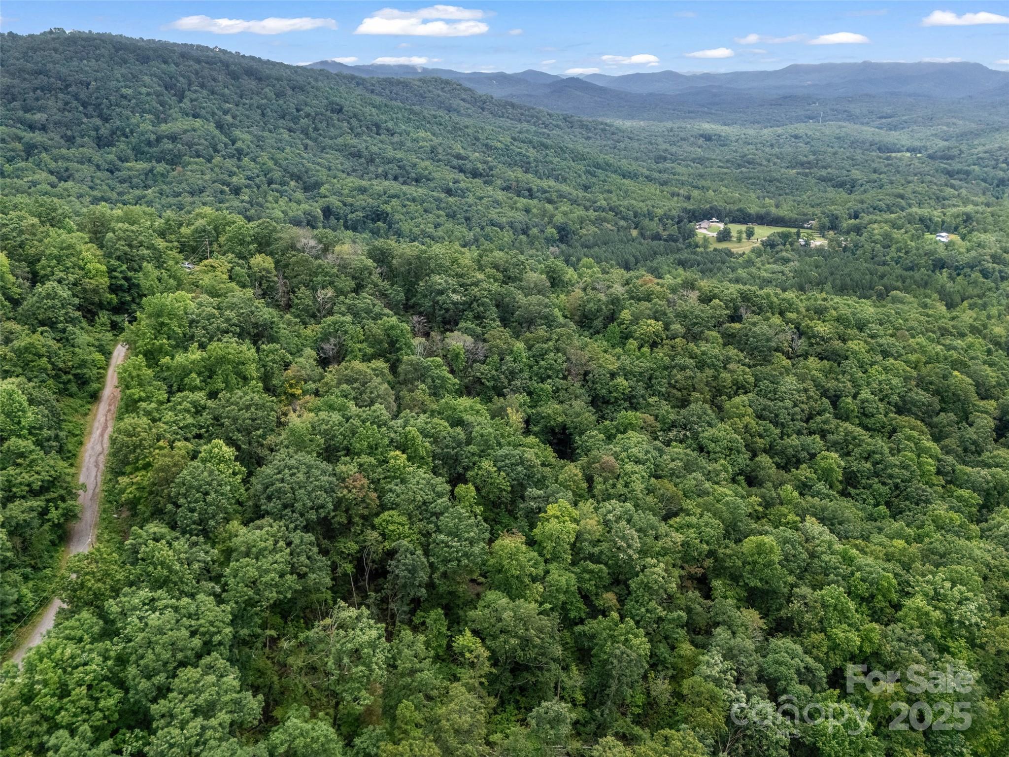 0 Peartree Drive Lake Lure NC 28746