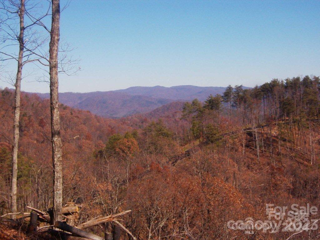 0 Brighton Drive Bostic NC 28018