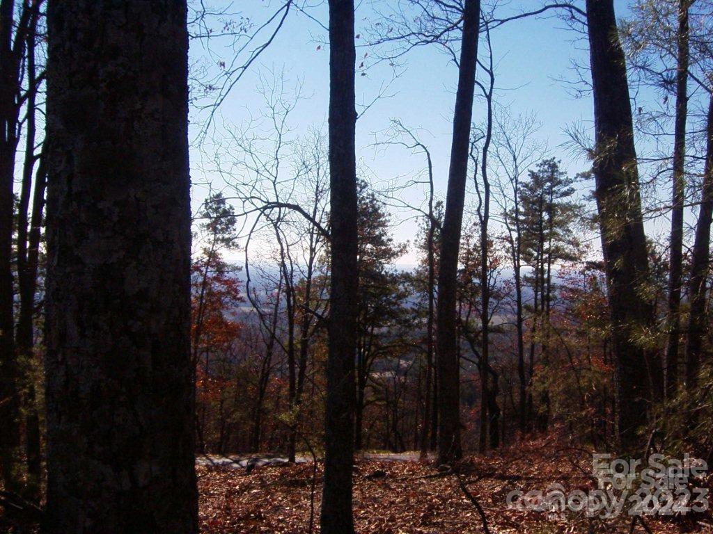 0 Brighton Drive Bostic NC 28018