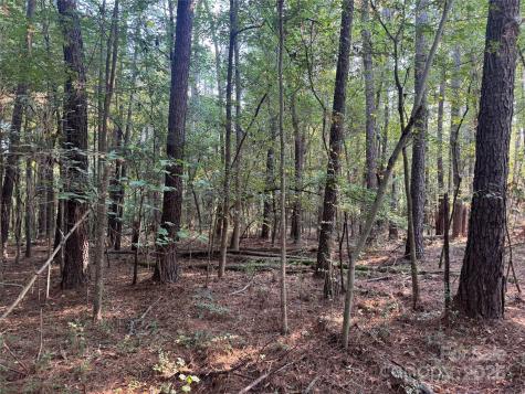 106 Serenity Creek Drive Waxhaw NC 28173