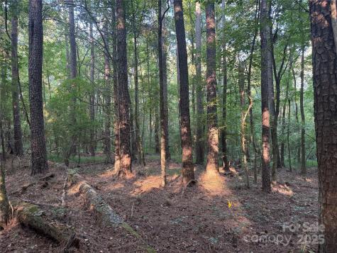 106 Serenity Creek Drive Waxhaw NC 28173