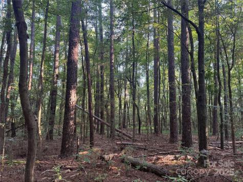 106 Serenity Creek Drive Waxhaw NC 28173