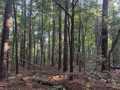 106 Serenity Creek Drive Waxhaw NC 28173