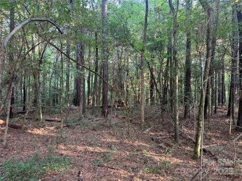 106 Serenity Creek Drive Waxhaw NC 28173